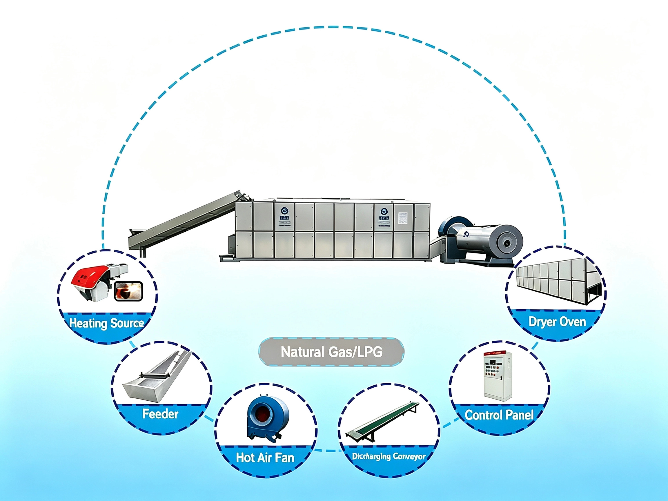 Moringa Drying Machine